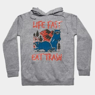 Raccoon Live Fast Eat Trash Vintage Hoodie